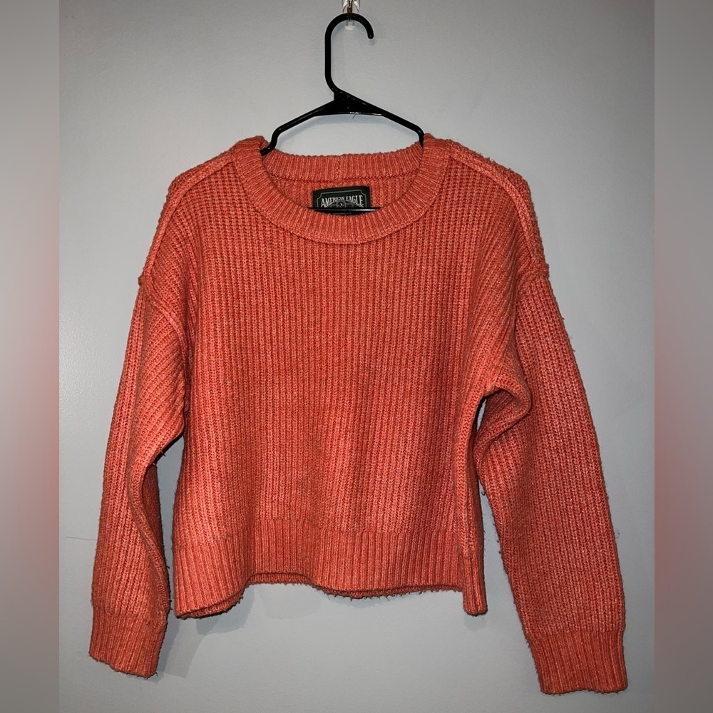 American Eagle Cropped Sweater